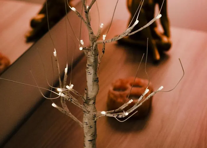 Celsius Апартаменты